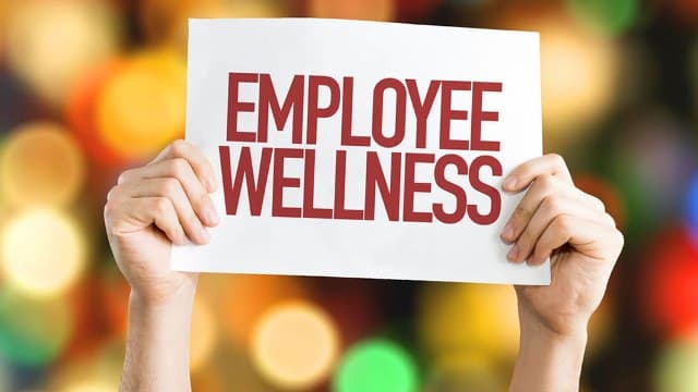 SightsIn Plus Article: Employee Wellness and Health at Workplace: Cost of Unstructured Approach