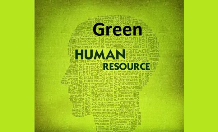 SightsIn Plus Article: Building A Green HR