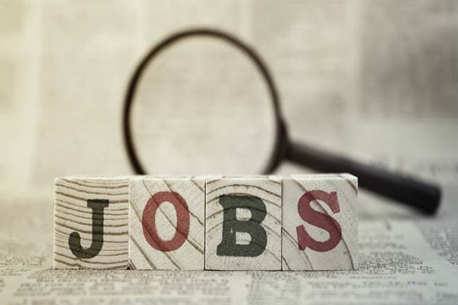 SightsIn Plus Article: Employment Trends in India, 2020