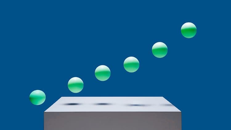 SightsIn Plus Article: Factors Influencing Companies’ Growth Culture