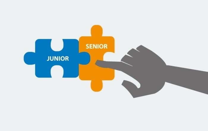 SightsIn Plus Article: Leaders and Reverse Shadow: What would it look like?