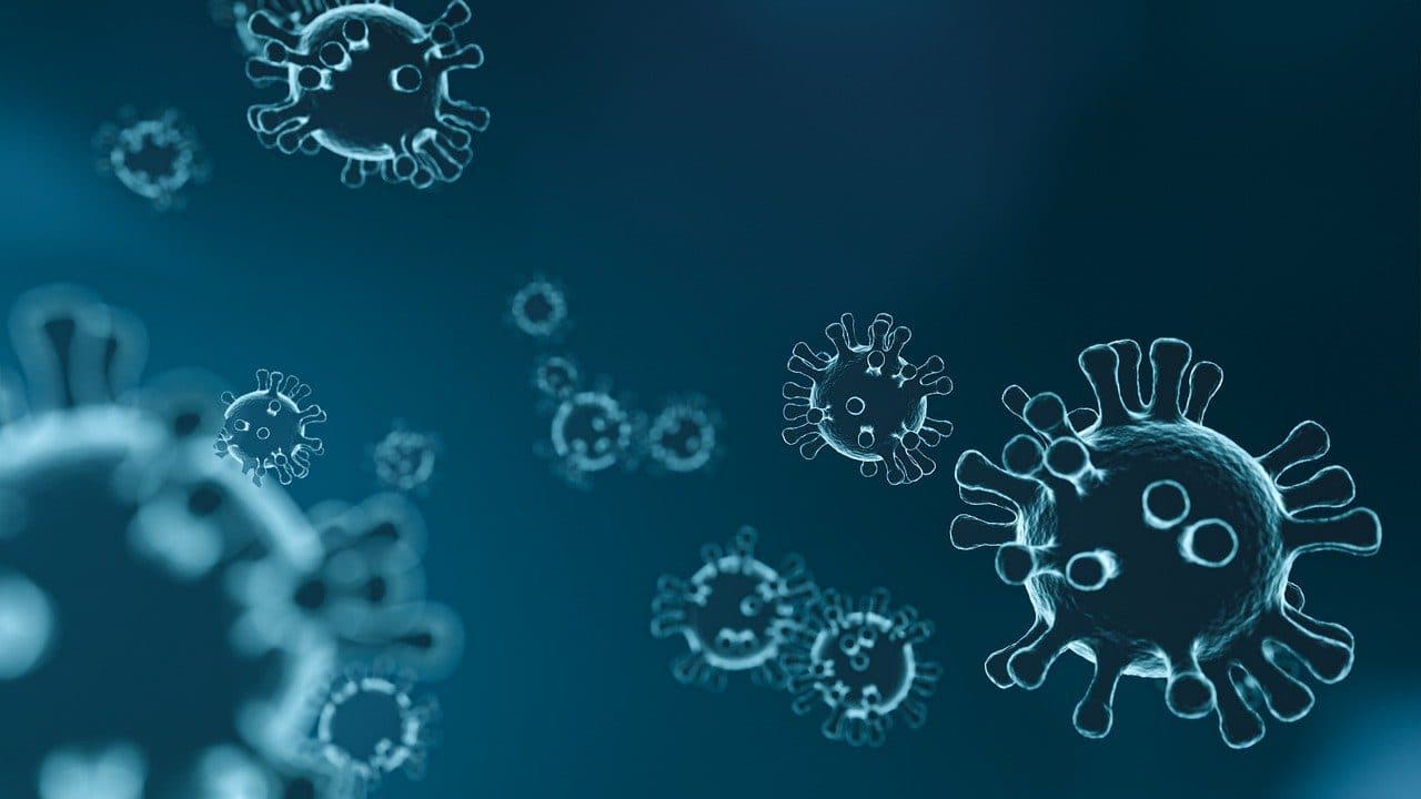 Getting your workplace ready for coronavirus Official updates by WHO