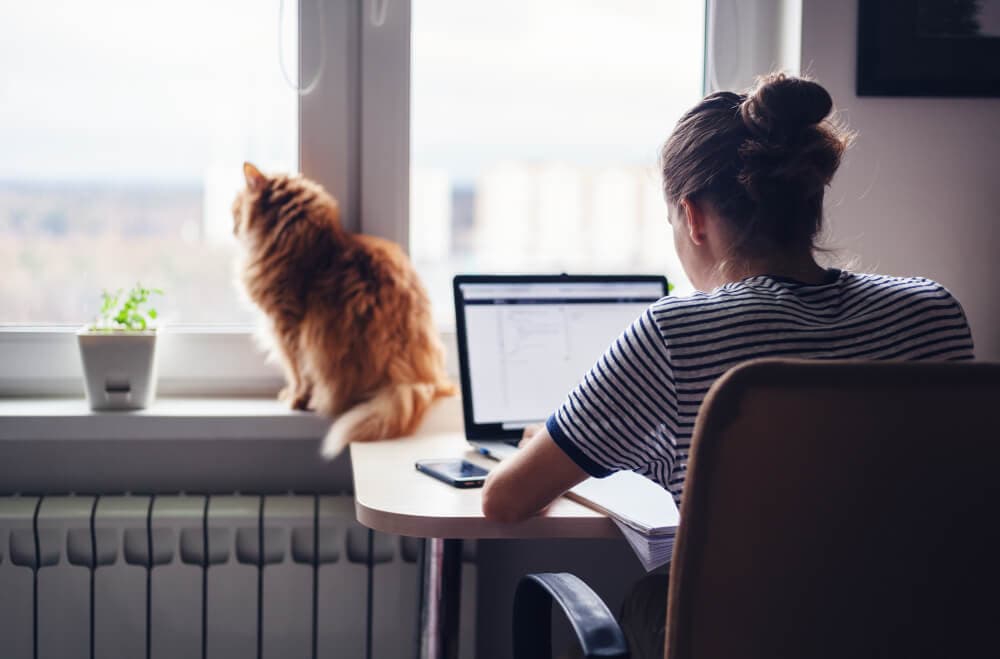 SightsIn Plus Article: Remote Working Challenges and suggested solutions
