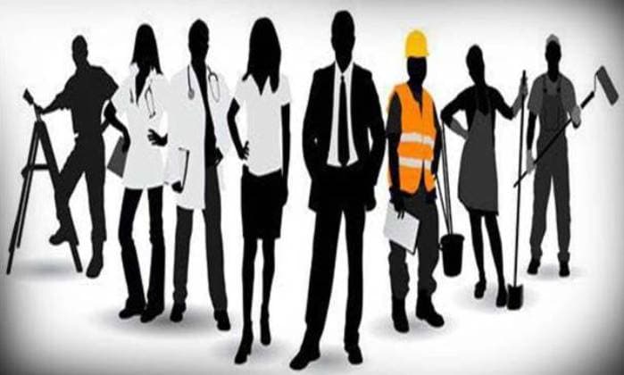 SightsIn Plus Article: Payroll Reporting in India – A Formal Employment Perspective