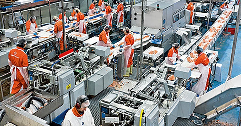 SightsIn Plus Article: Govt approves 45 projects related to food processing, to create jobs for over 37K people