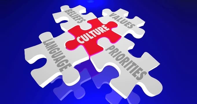SightsIn Plus Article: Importance of Organization Development in the Age of Technology