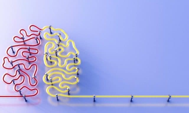 SightsIn Plus Article: Thinking Preferences@Workplace