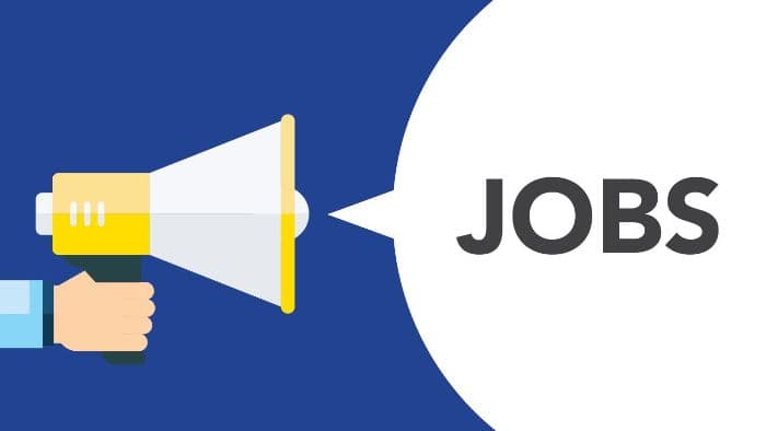SightsIn Plus Article: Consumer durables, FMCG & retail sectors push talent demand for festive hiring- TimesJobs