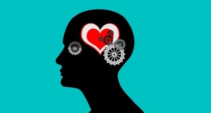 SightsIn Plus Article: Being Smart isn’t Enough at Work, be Emotionally Intelligent