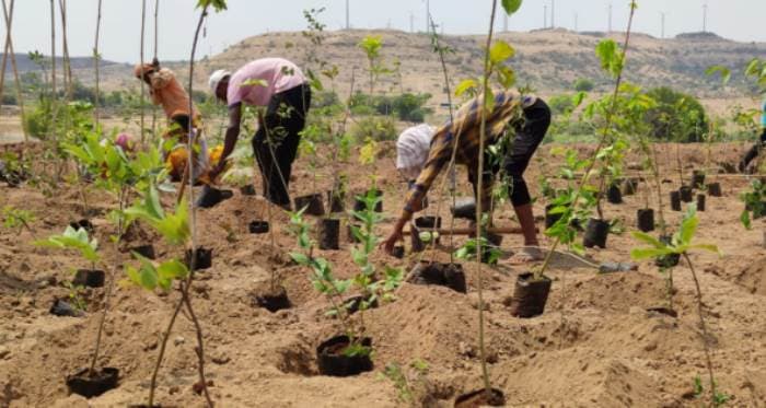 Sony Pictures Networks joins hands with SayTrees for a greener planet