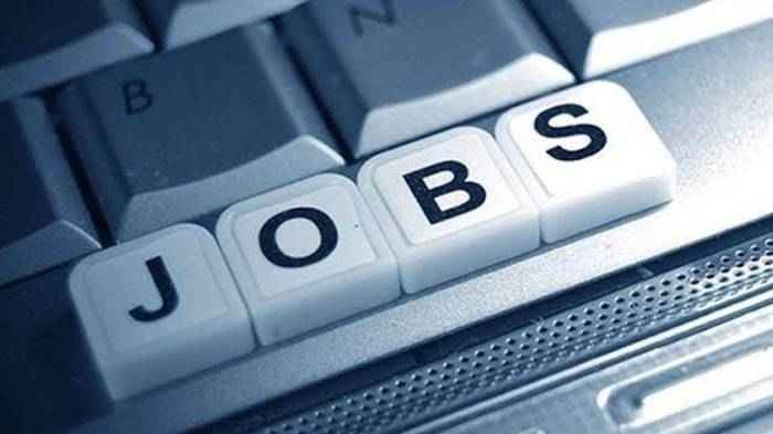 SightsIn Plus Article: IMAC launches projects to generate over 12K jobs: Centre