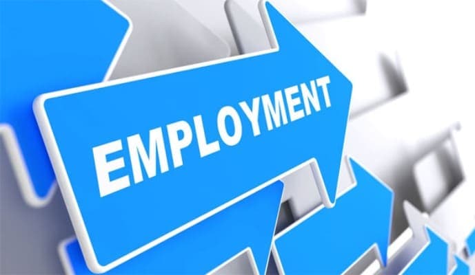 What are Centrally Sponsored Schemes for Employment?