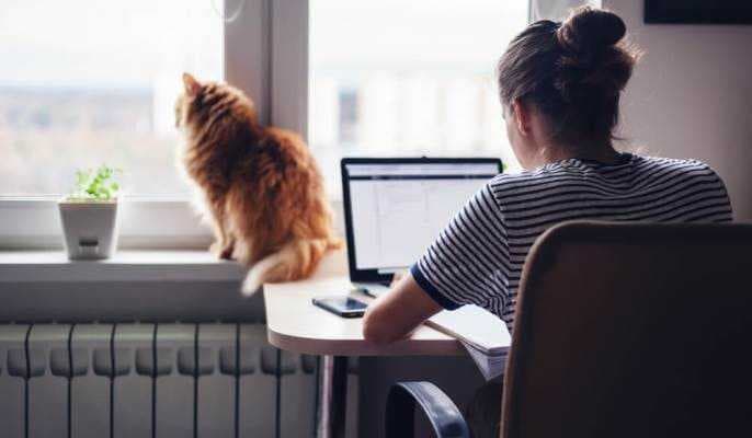 Latest news: Magicpin announces its Remote-First Workplace Policy - SightsIn Plus