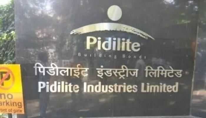 Latest news: Pidilite Industries is hiring for various roles, Apply Here - SightsIn Plus