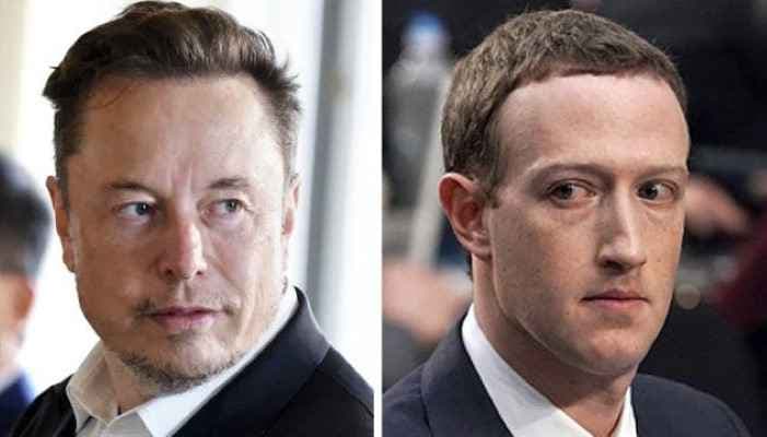 SightsIn Plus Article: Elon Musk vs Mark Zuckerberg Cage Fight