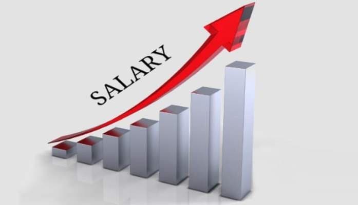 SightsIn Plus Article: Average India increment is expected to be 9.0% in 2024, Deloitte