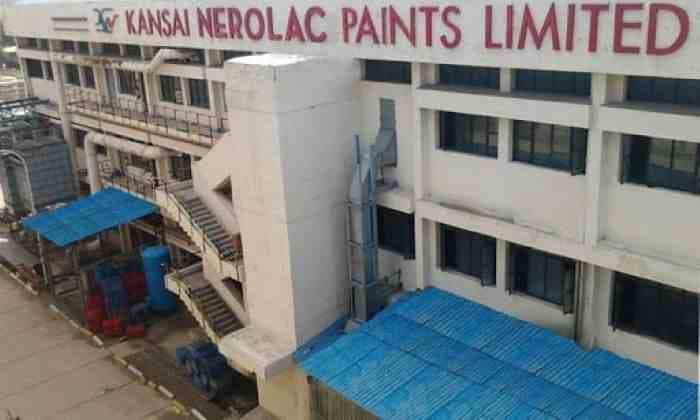 SightsIn Plus Article: Kansai Nerolac Paints is hiring Interns, MTs, & lateral jobs; Details