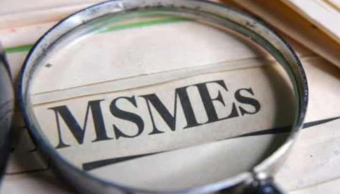 SightsIn Plus Article: Small Enterprises, Big Impact; MSME Shape India’s Destiny