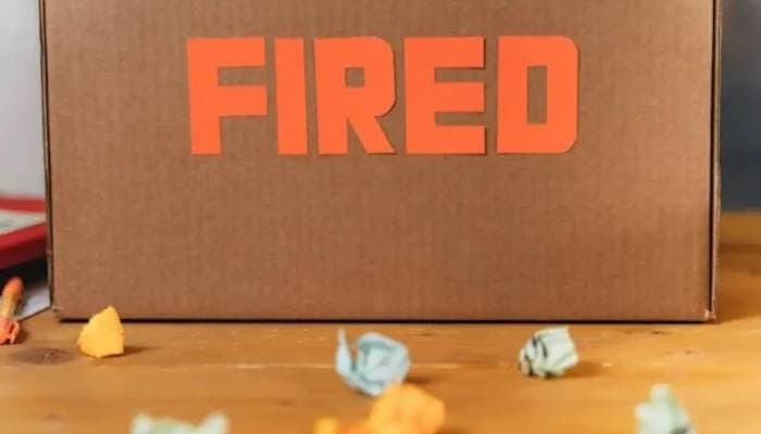 SightsIn Plus Article: Entire HR Team Fired After Manager’s CV Gets Auto-Rejected
