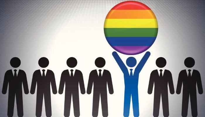 SightsIn Plus Article: Flipkart LGBTQIA+ Delivery Hub; The Road to Full Inclusion