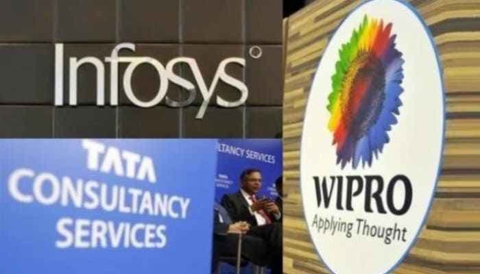 SightsIn Plus Article: IT Fresher Hiring to See Significant Growth in FY25 in India, Report