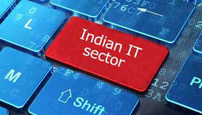 SightsIn Plus Article: Indian IT Sector; Freshers’ Hiring Set to Double in FY25