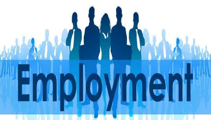 SightsIn Plus Article: EPF and ESIC Registrations Drop as Formal Job Slows in October