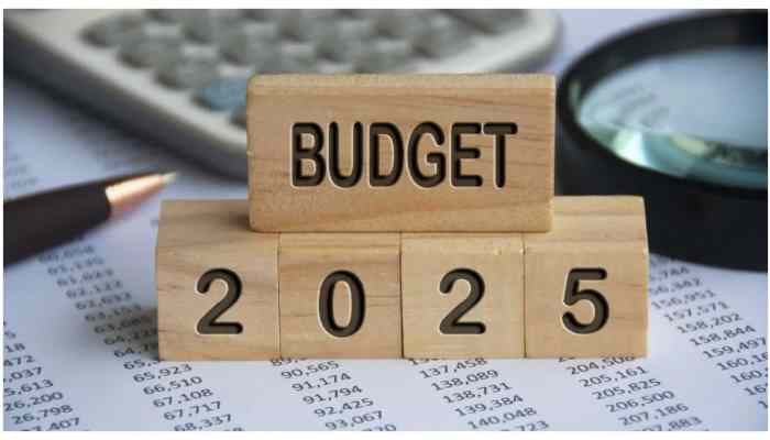 India’s Budget 2025: Boosting Female Labor Force Participation