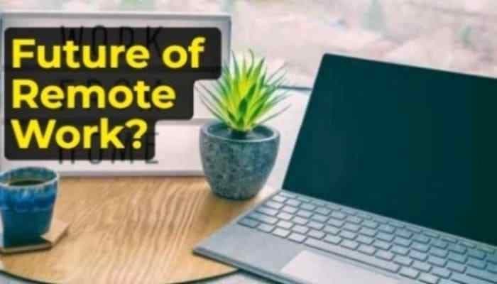 SightsIn Plus Article: What’s the future of remote work across sectors- HR Experts