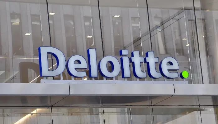 SightsIn Plus Article: Deloitte US Drops Gender Pronouns, UK Stands Firm on DEI