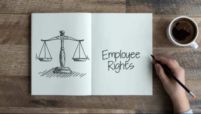 Calcutta High Court Upholds Employee Rights Against Employer Errors