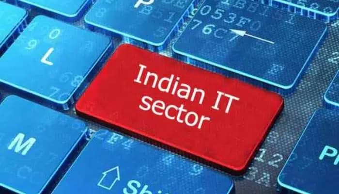 SightsIn Plus Article: IT Sector Adapts to GCC Boom with Specialized Divisions
