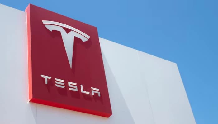 SightsIn Plus Article: Tesla Faces Leadership Crisis as Top Investor Calls for Elon Musk’s Exit