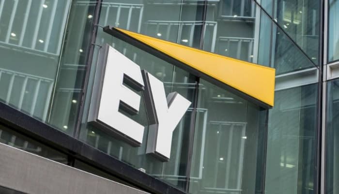 SightsIn Plus Article: EY Report Highlights E-commerce as Salary Growth Leader in 2025