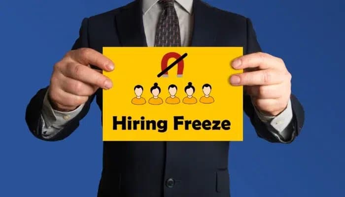 SightsIn Plus Article: Resilient Roles: How Tech and Sales Thrive Amid Hiring Freezes