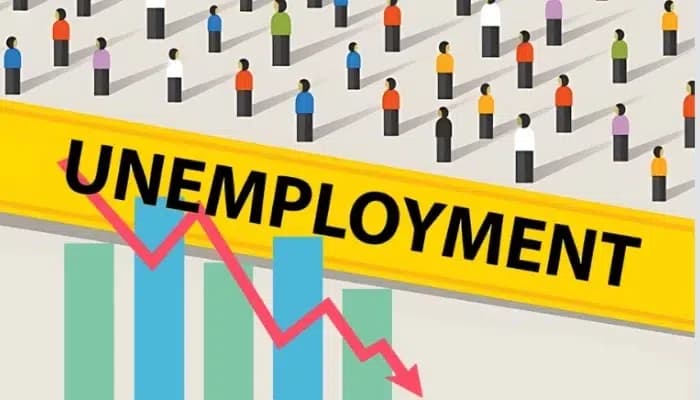 Unemployment Rate Declines to . What the Latest Survey Reveals