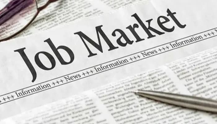 SightsIn Plus Article: Flexi-Staffing and Gig Economy Rise as Job Market Growth Slows