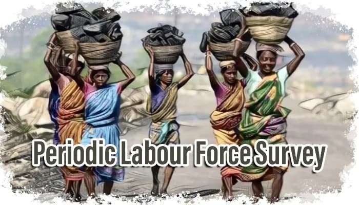 SightsIn Plus Article: NSO Labour Force Survey to Cover Rural Employment Trends