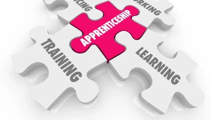 Latest news: North East Apprenticeship Pilot Scheme Launched by Government - SightsIn Plus