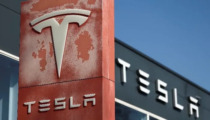 SightsIn Plus Article: Tesla Board Considers CEO Replacement; On The Lookout