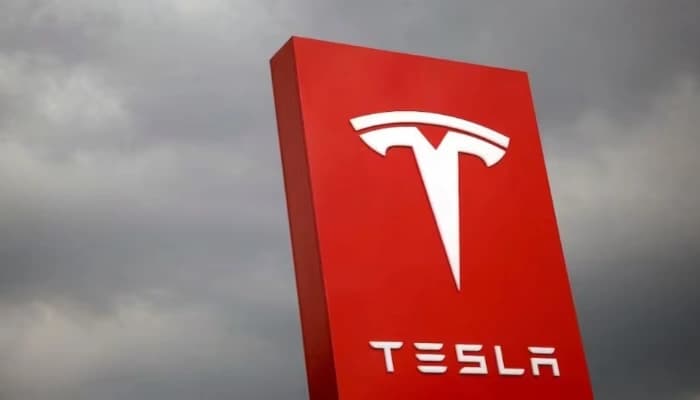 SightsIn Plus Article: Tesla Board Denies CEO Succession Plans, Backs Musk’s Vision