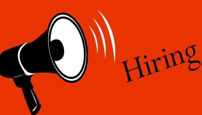 SightsIn Plus Article: India’s Hiring Outlook for Q3 2025 Holds Steady at 42%