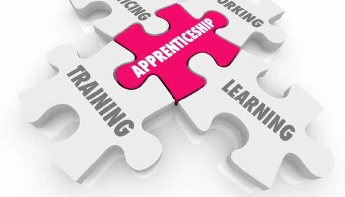 SightsIn Plus Article: India’s Sunrise Sectors Drive Apprenticeship Boom in FY2025