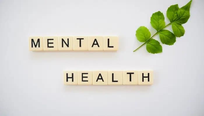 Mental Health in Focus After Engineers Suicide at Pune IT Park