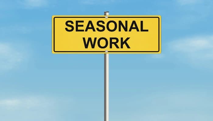 SightsIn Plus Article: Monsoon Drenches Seasonal Job Creation in 2025