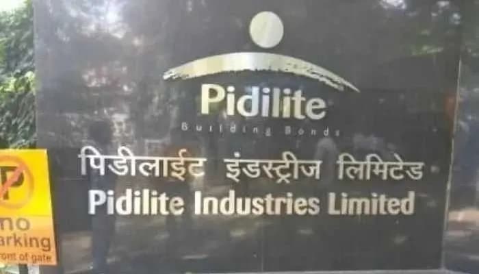 SightsIn Plus Article: Pidilite Partners with 600+ ITIs to Skill Over One Lakh Youth