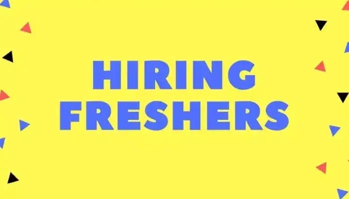 HR Insights: E-Commerce and Tech Startups Lead Fresher Hiring in India - SightsIn Plus