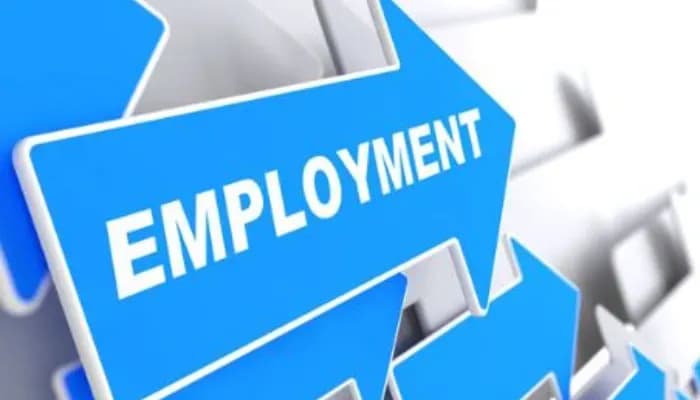 Services Sector Employs of Workforce, Says NITI Aayog