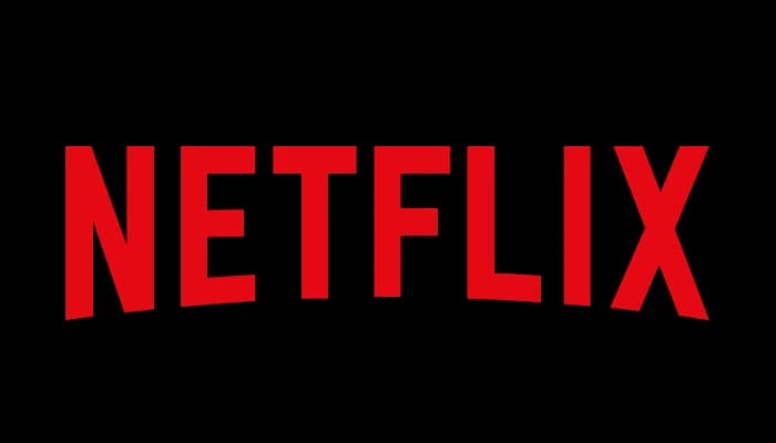 SightsIn Plus Article: How Netflix Uses Daily Feedback to Maintain Its Elite ‘Dream Team’
