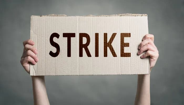 HR Insights: Delivery Workers To Hold Nationwide Strikes for Dec and - SightsIn Plus